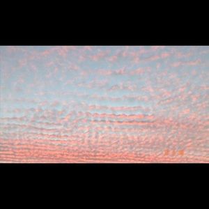 Meet your Posher, Kylie